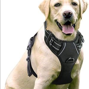 RabbitGoo Adjustable No Pull Large Dog Harness with Two Leash Clips Soft Padded